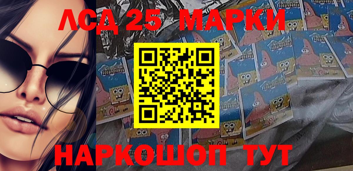 Псилоцибиновые грибы Алушта