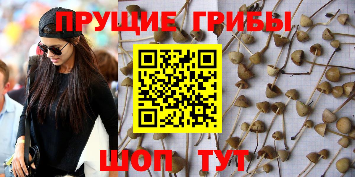 Галлюциногенные грибы мицелий  Галлюциногенные грибы GOLDEN TEACHER  Вход с VPN  Алушта 